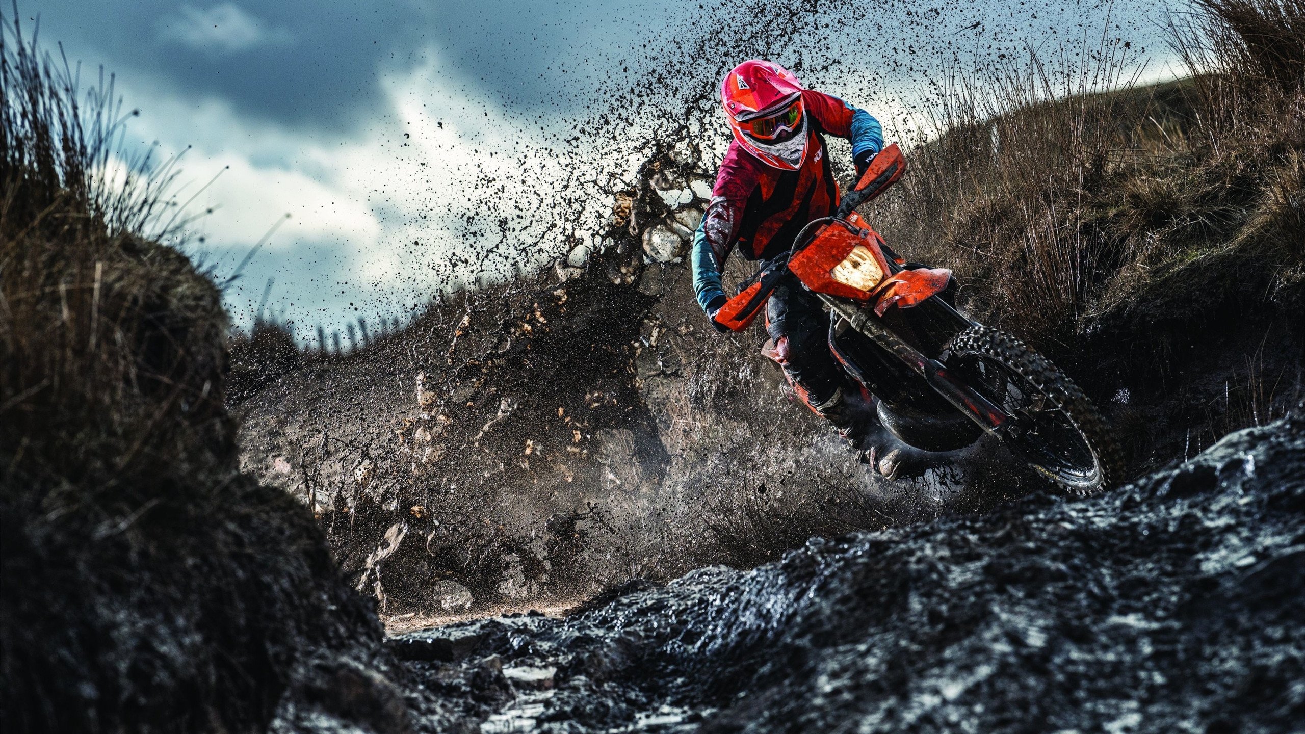 塞内加尔马术协会与美洲马术协会合作，举办国际马术交流活动，促进文化互鉴。